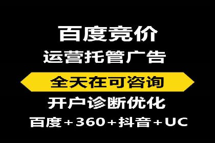 SEM搜索引擎优化成功案例，揭示优化策略与技巧